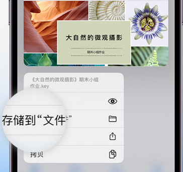 福海apple维修中心分享iPhone文件应用中存储和找到下载文件