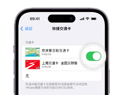 福海apple维修点分享iPhone上更换Apple Pay快捷交通卡手绘卡面 