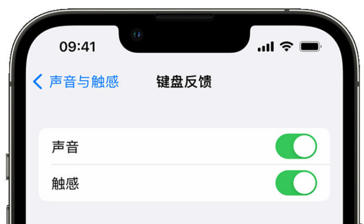 福海苹果手机维修分享iPhone 14触感键盘使用方法 