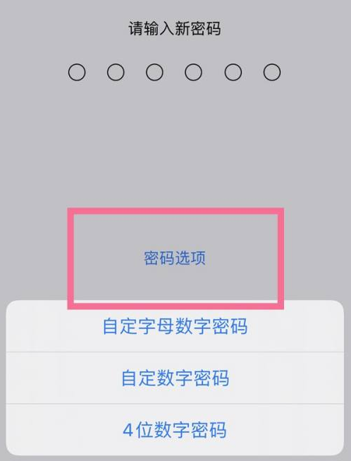 福海苹果14维修分享iPhone 14plus设置密码的方法 