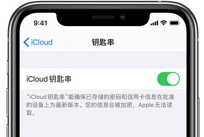 福海苹果手机维修分享在 iPhone 上开启 iCloud 钥匙串之后会储存哪些信息 