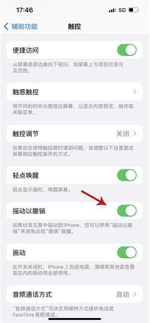 福海苹果手机维修分享iPhone手机如何设置摇一摇删除文字 